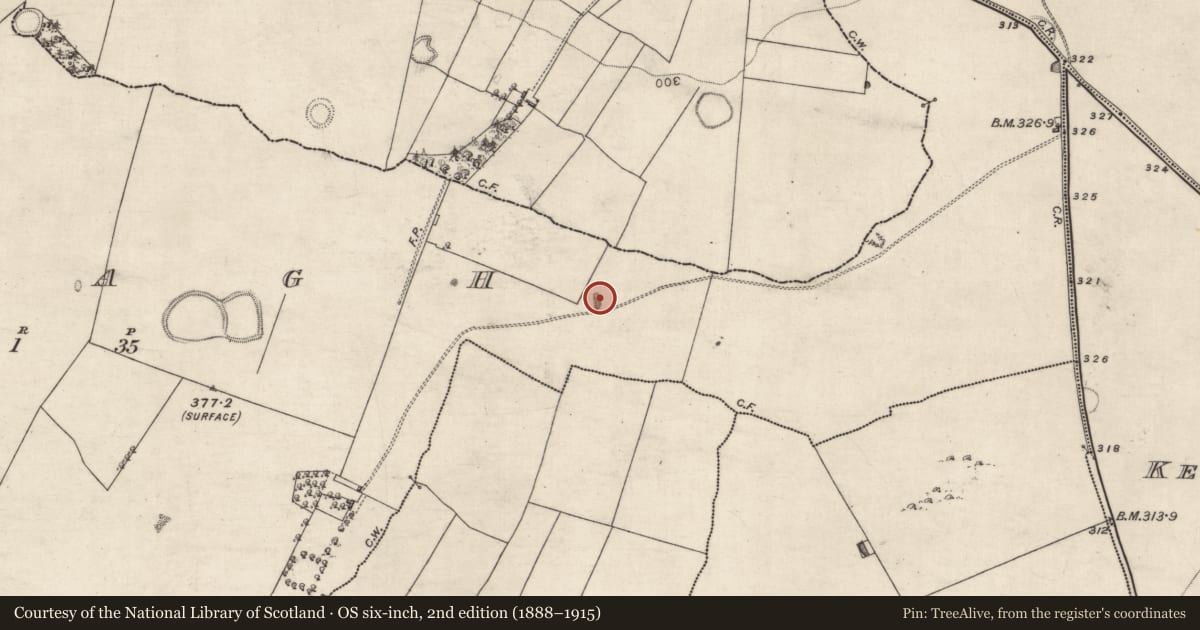 Ordnance Survey six-inch map, 2nd edition (1888–1915) covering the location of Quarry, Ardagh, County Galway, with a pin at the register's coordinates