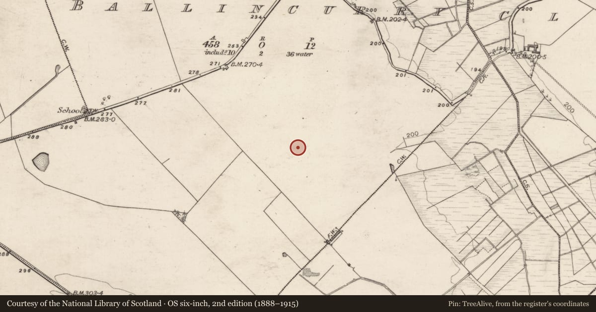 Ordnance Survey six-inch map, 2nd edition (1888–1915) covering the location of Enclosure, Ballincurry, County Galway, with a pin at the register's coordinates