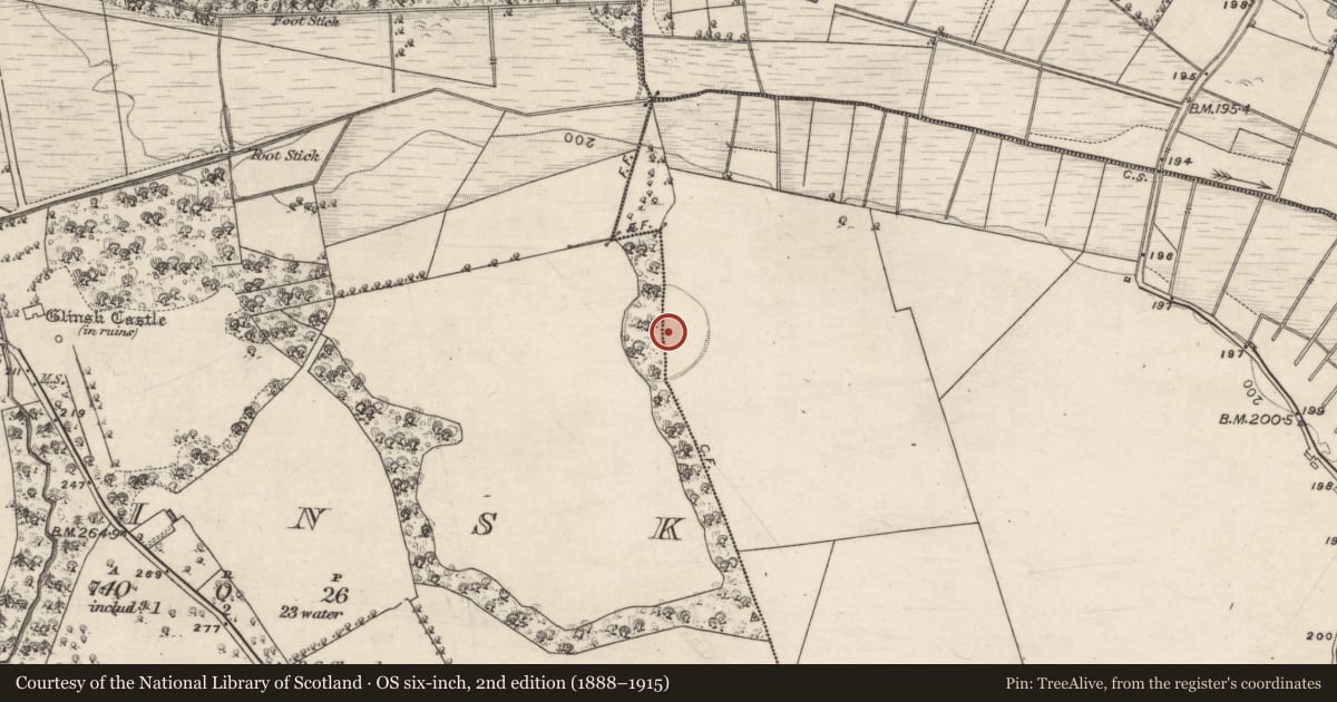 Ordnance Survey six-inch map, 2nd edition (1888–1915) covering the location of Enclosure, Ballincurry, Glinsk, County Galway, with a pin at the register's coordinates