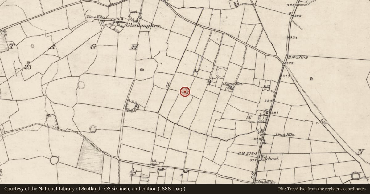 Ordnance Survey six-inch map, 2nd edition (1888–1915) covering the location of Ringfort - rath, Balling, County Galway, with a pin at the register's coordinates