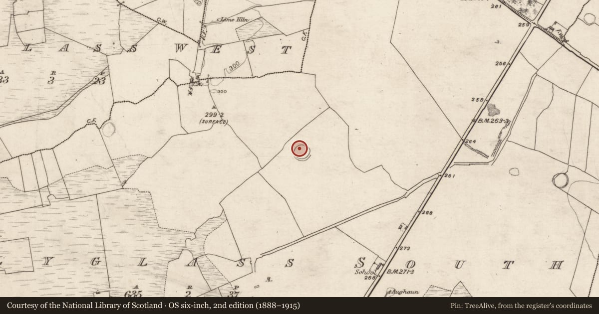 Ordnance Survey six-inch map, 2nd edition (1888–1915) covering the location of Ringfort - rath, Ballyglass South, County Galway, with a pin at the register's coordinates