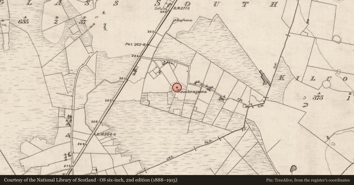 Ordnance Survey six-inch map, 2nd edition (1888–1915) covering the location of Enclosure, Ballyglass South, County Galway, with a pin at the register's coordinates