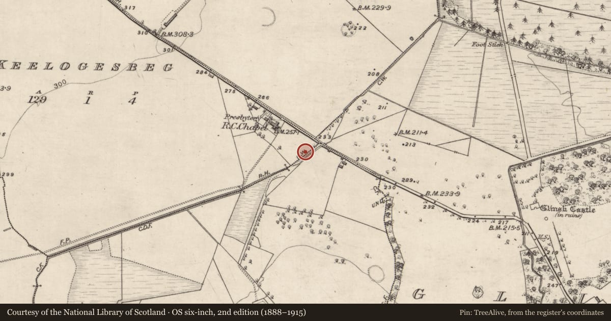 Ordnance Survey six-inch map, 2nd edition (1888–1915) covering the location of Kiln - corn-drying, Ballynakill, County Galway, with a pin at the register's coordinates
