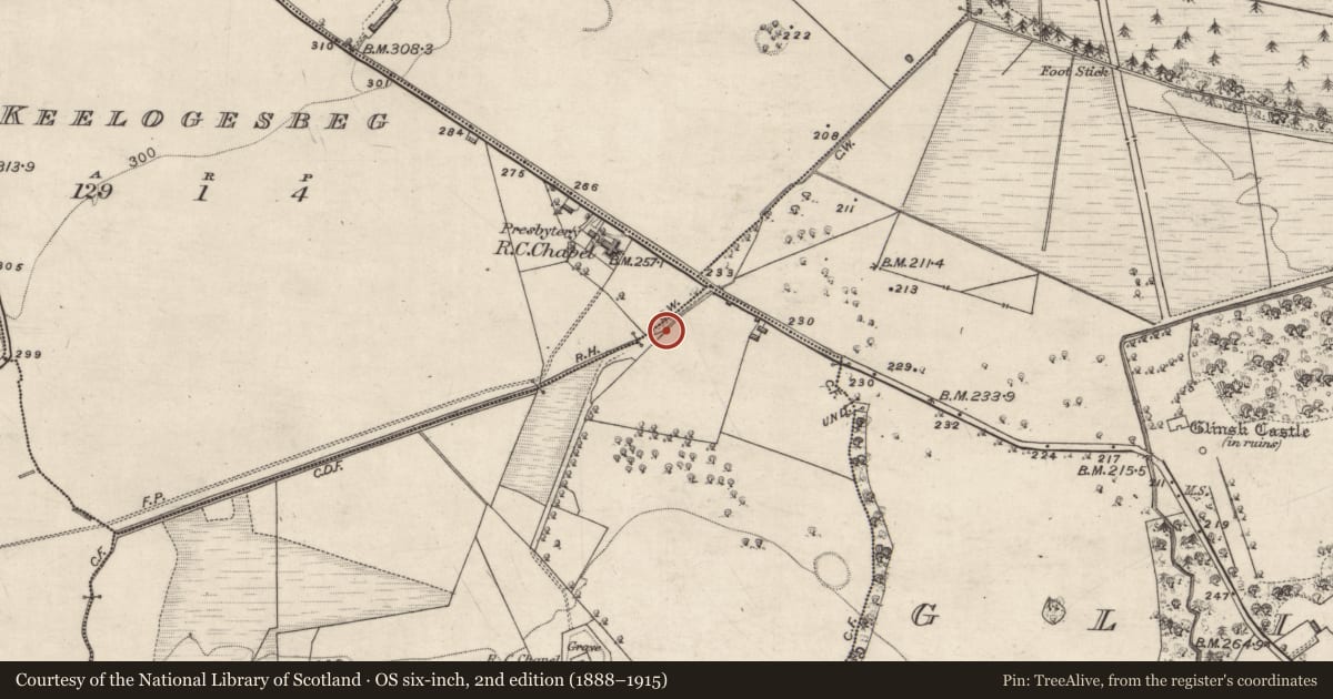 Ordnance Survey six-inch map, 2nd edition (1888–1915) covering the location of Mill - corn, Ballynakill, County Galway, with a pin at the register's coordinates