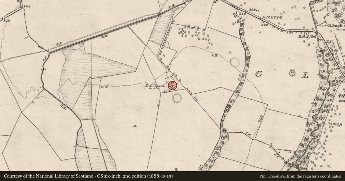 Ordnance Survey six-inch map, 2nd edition (1888–1915) covering the location of Church, Ballynakill, County Galway, with a pin at the register's coordinates