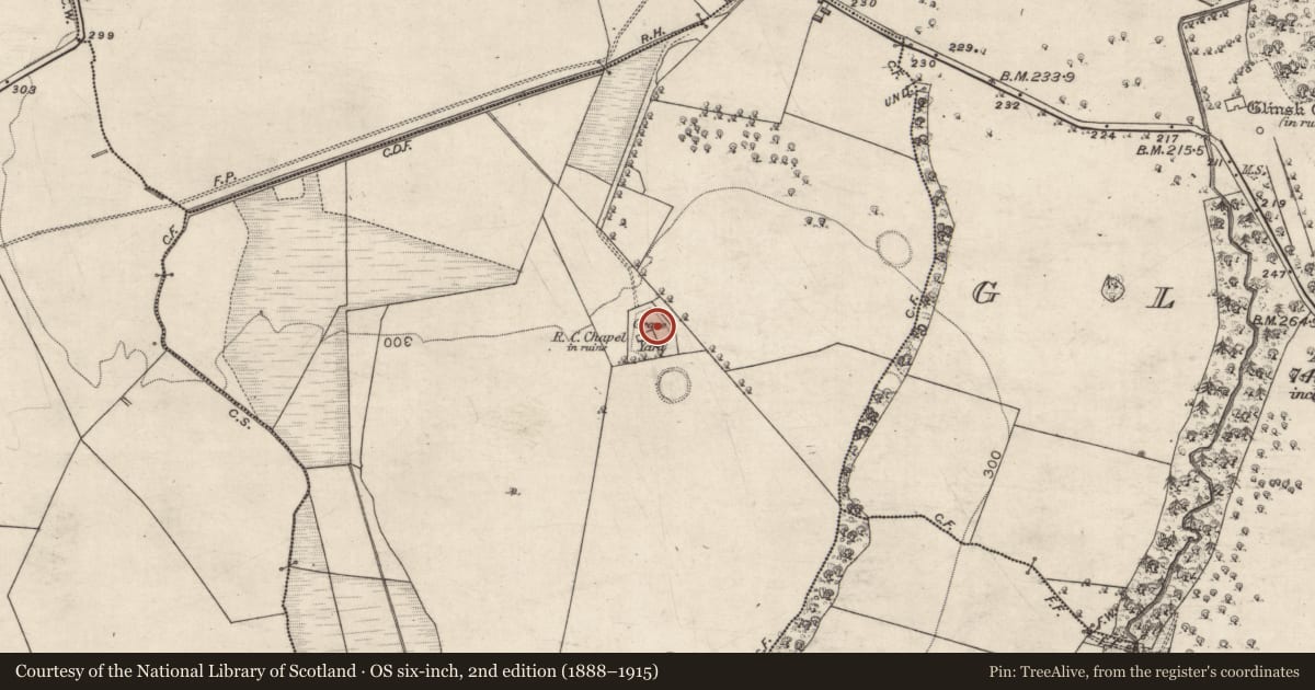 Ordnance Survey six-inch map, 2nd edition (1888–1915) covering the location of Graveyard, Ballynakill, County Galway, with a pin at the register's coordinates