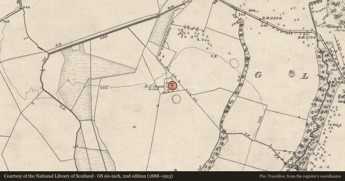 Ordnance Survey six-inch map, 2nd edition (1888–1915) covering the location of Cross, Ballynakill, County Galway, with a pin at the register's coordinates