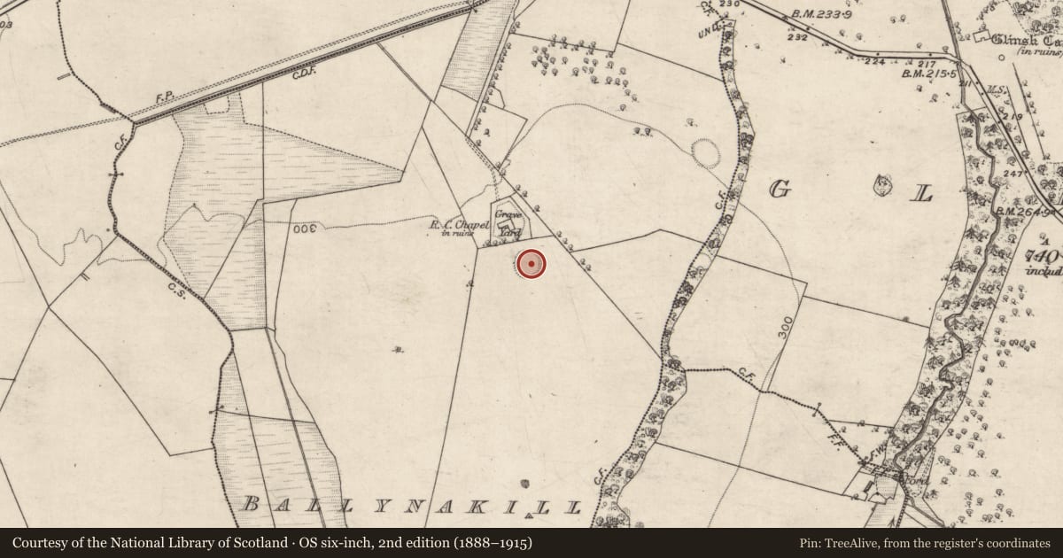 Ordnance Survey six-inch map, 2nd edition (1888–1915) covering the location of Ringfort - rath, Ballynakill, County Galway, with a pin at the register's coordinates
