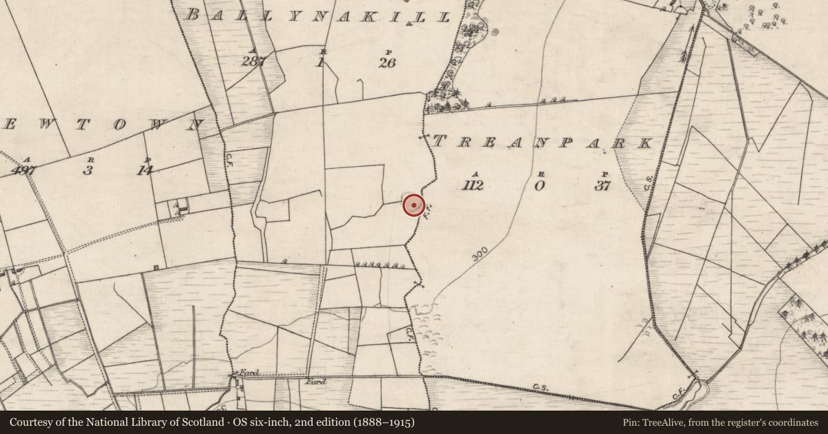 Ordnance Survey six-inch map, 2nd edition (1888–1915) covering the location of Ringfort - rath, Ballynakill, County Galway, with a pin at the register's coordinates