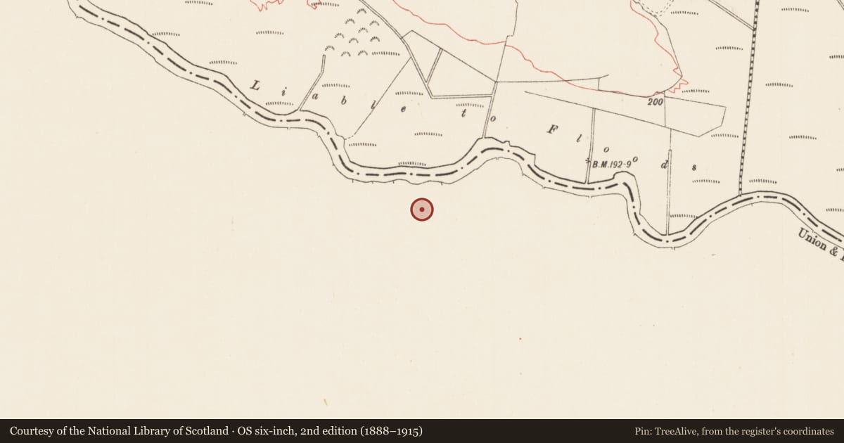 Ordnance Survey six-inch map, 2nd edition (1888–1915) covering the location of Children's burial ground, Cloonfaghna, County Galway, with a pin at the register's coordinates