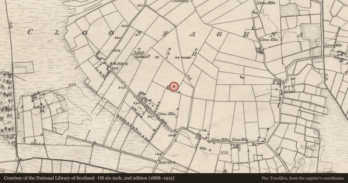 Ordnance Survey six-inch map, 2nd edition (1888–1915) covering the location of Enclosure, Cloonfaghna, County Galway, with a pin at the register's coordinates