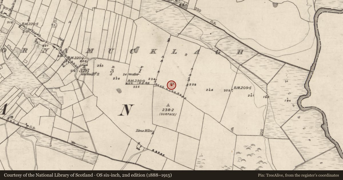 Ordnance Survey six-inch map, 2nd edition (1888–1915) covering the location of Ringfort - rath, Cornamucklagh, County Galway, with a pin at the register's coordinates
