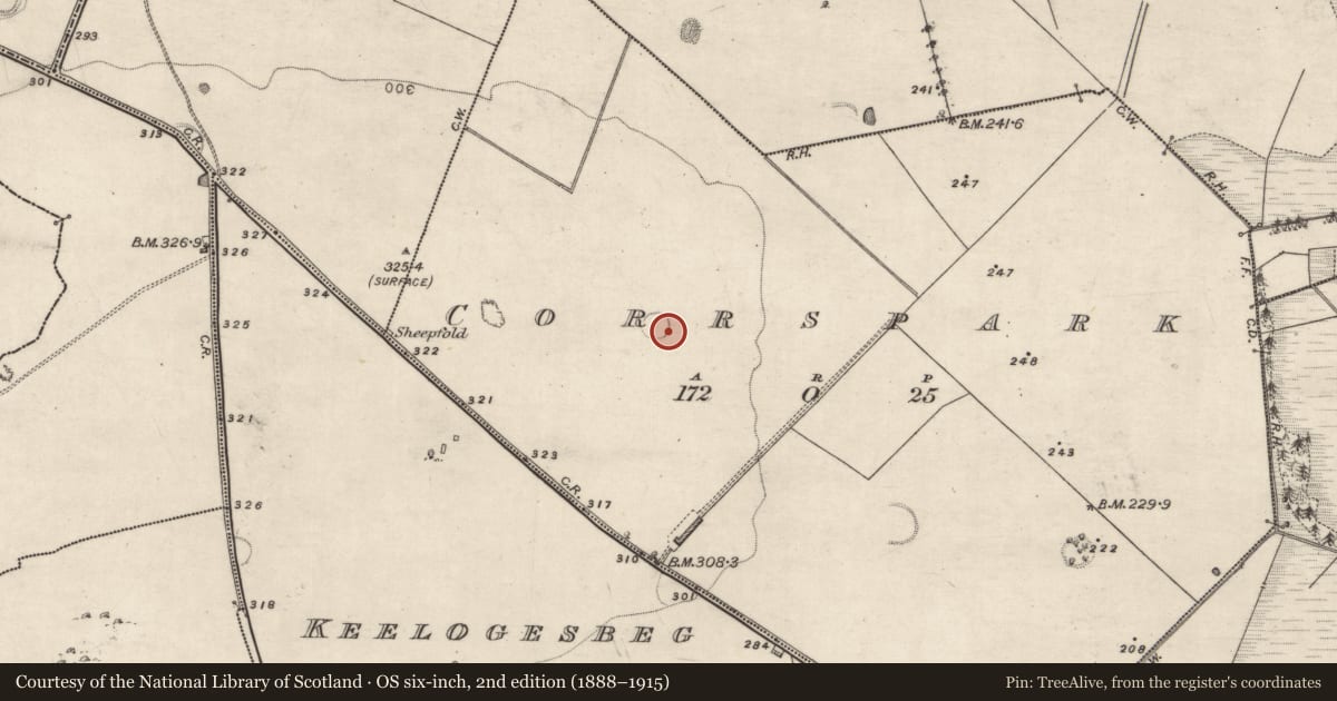 Ordnance Survey six-inch map, 2nd edition (1888–1915) covering the location of Ringfort - rath, Corrspark, County Galway, with a pin at the register's coordinates