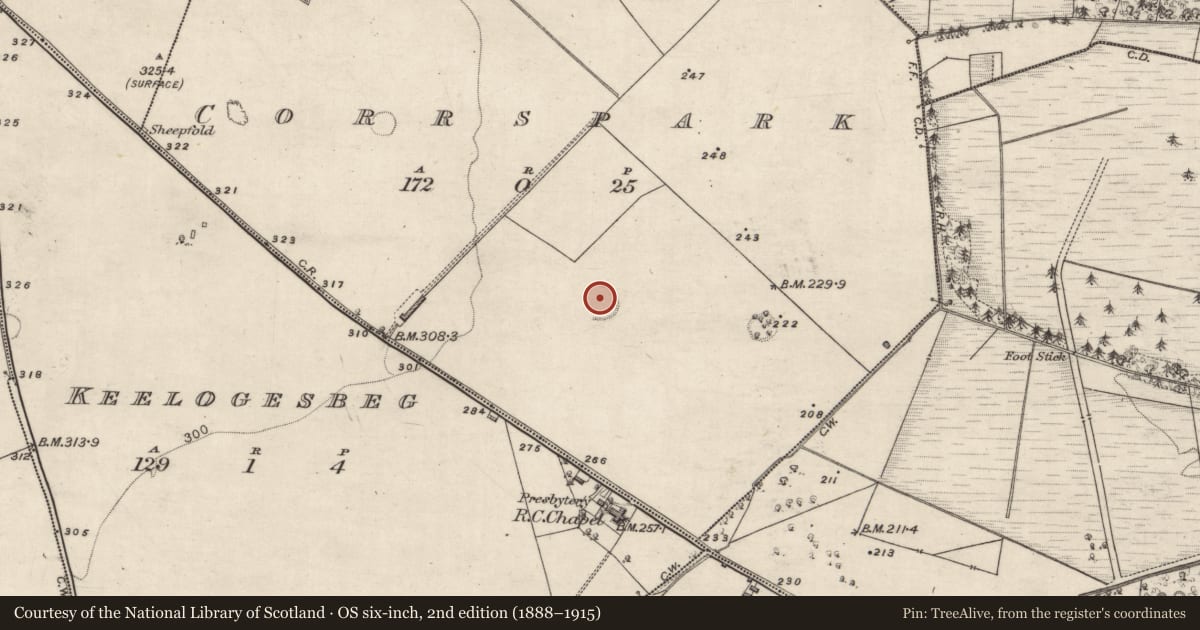 Ordnance Survey six-inch map, 2nd edition (1888–1915) covering the location of Ringfort - rath, Corrspark, County Galway, with a pin at the register's coordinates