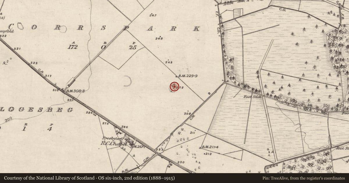 Ordnance Survey six-inch map, 2nd edition (1888–1915) covering the location of Ringfort - rath, Corrspark, County Galway, with a pin at the register's coordinates