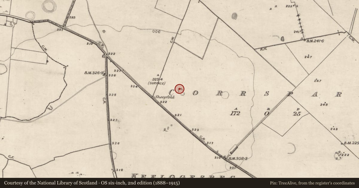Ordnance Survey six-inch map, 2nd edition (1888–1915) covering the location of Quarry, Corrspark, County Galway, with a pin at the register's coordinates