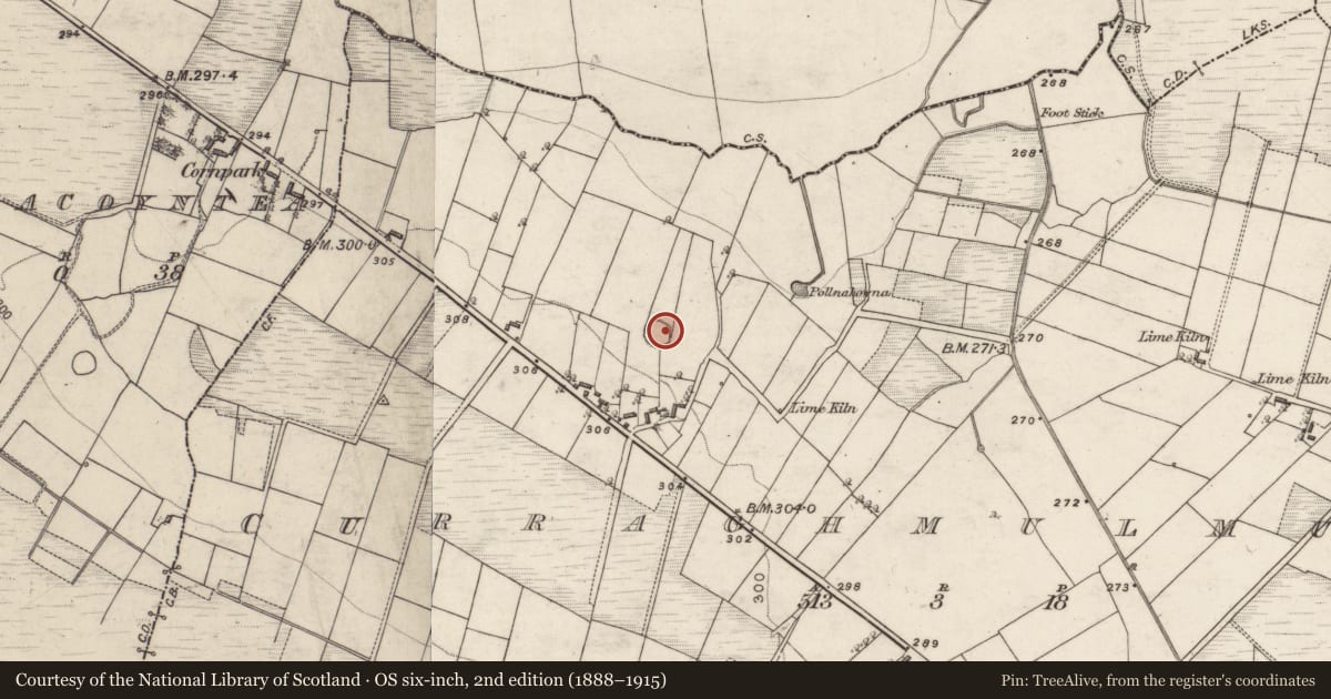 Ordnance Survey six-inch map, 2nd edition (1888–1915) covering the location of Enclosure, Curraghmulmurry, County Galway, with a pin at the register's coordinates
