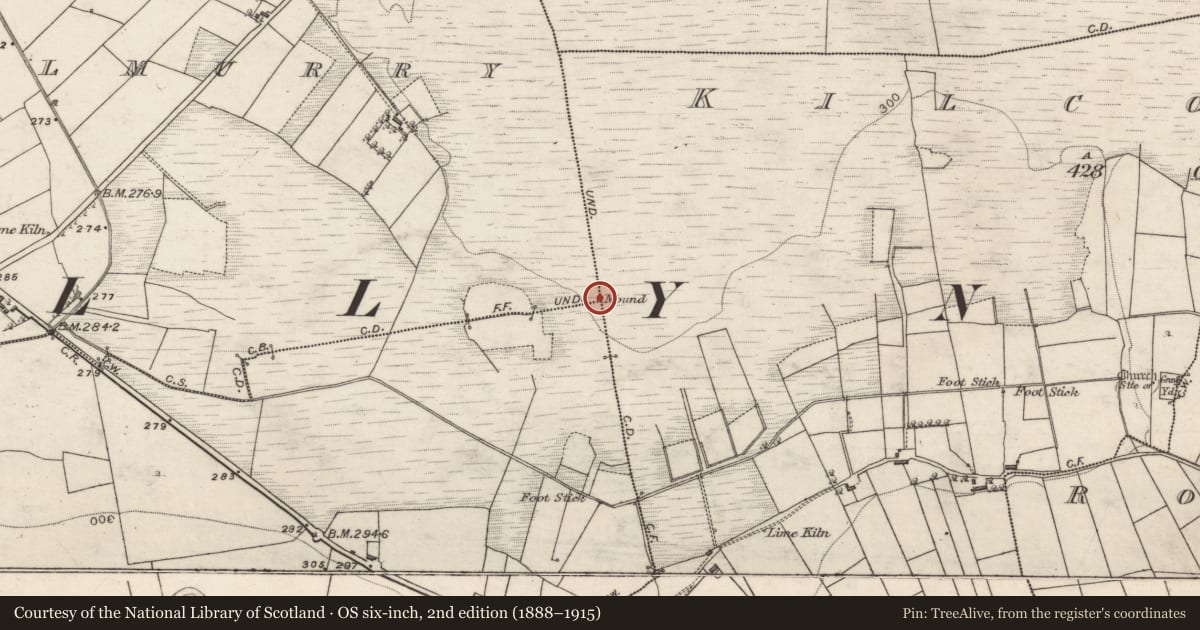 Ordnance Survey six-inch map, 2nd edition (1888–1915) covering the location of Boundary mound, County Galway, with a pin at the register's coordinates