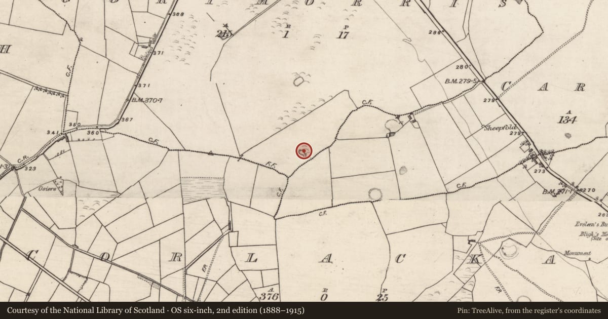 Ordnance Survey six-inch map, 2nd edition (1888–1915) covering the location of Quarry, Gortmorris, County Galway, with a pin at the register's coordinates
