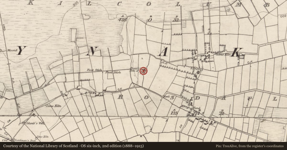 Ordnance Survey six-inch map, 2nd edition (1888–1915) covering the location of Graveyard, Kilcolumb, County Galway, with a pin at the register's coordinates