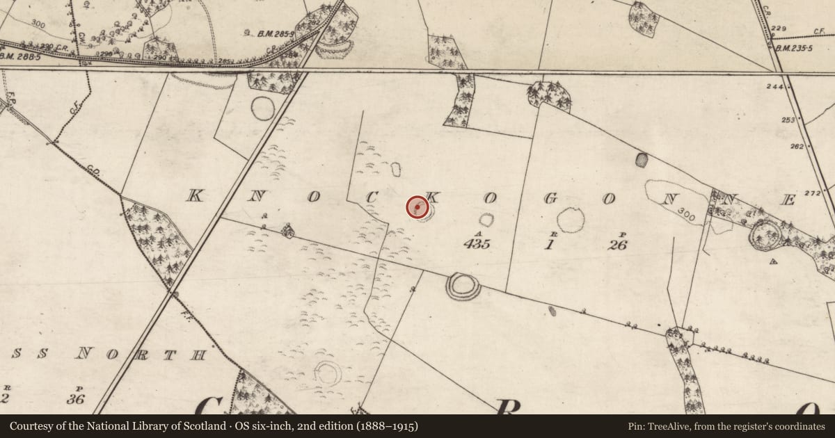 Ordnance Survey six-inch map, 2nd edition (1888–1915) covering the location of Ringfort - rath, Knockogonnell, County Galway, with a pin at the register's coordinates