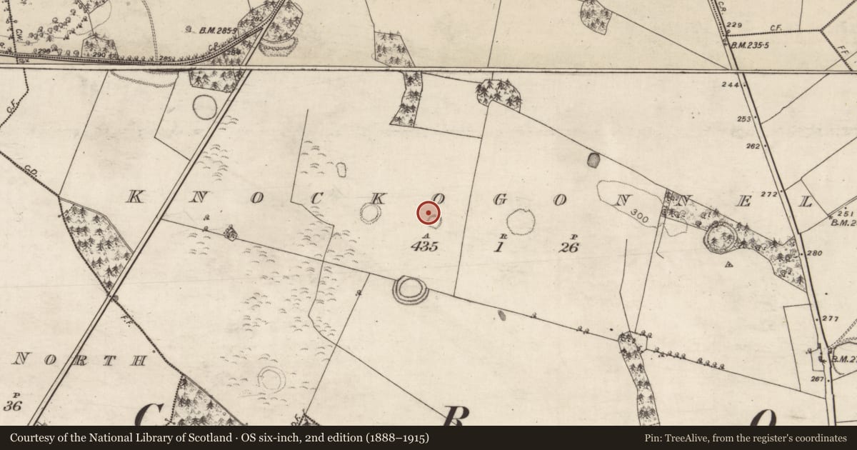Ordnance Survey six-inch map, 2nd edition (1888–1915) covering the location of Ringfort - rath, Knockogonnell, County Galway, with a pin at the register's coordinates