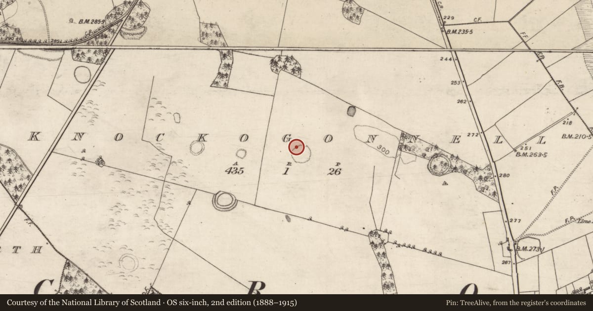 Ordnance Survey six-inch map, 2nd edition (1888–1915) covering the location of Ringfort - rath, Knockogonnell, County Galway, with a pin at the register's coordinates