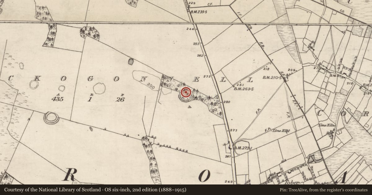 Ordnance Survey six-inch map, 2nd edition (1888–1915) covering the location of Ringfort - rath, Knockogonnell, County Galway, with a pin at the register's coordinates