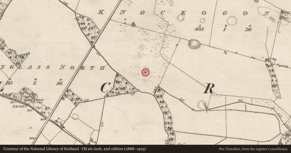 Ordnance Survey six-inch map, 2nd edition (1888–1915) covering the location of Ringfort - rath, Knockogonnell, County Galway, with a pin at the register's coordinates