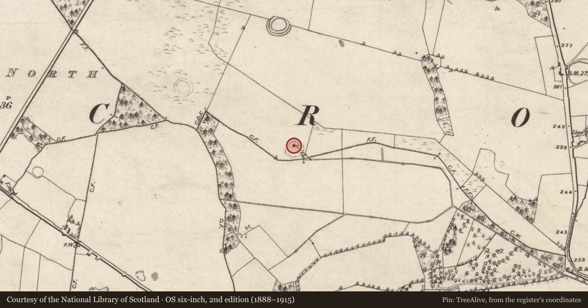 Ordnance Survey six-inch map, 2nd edition (1888–1915) covering the location of Enclosure, Knockogonnell, Turlough, County Galway, with a pin at the register's coordinates
