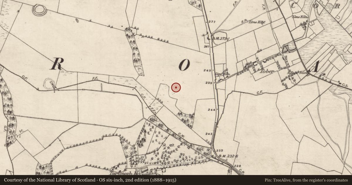 Ordnance Survey six-inch map, 2nd edition (1888–1915) covering the location of Ringfort - unclassified, Knockogonnell, County Galway, with a pin at the register's coordinates