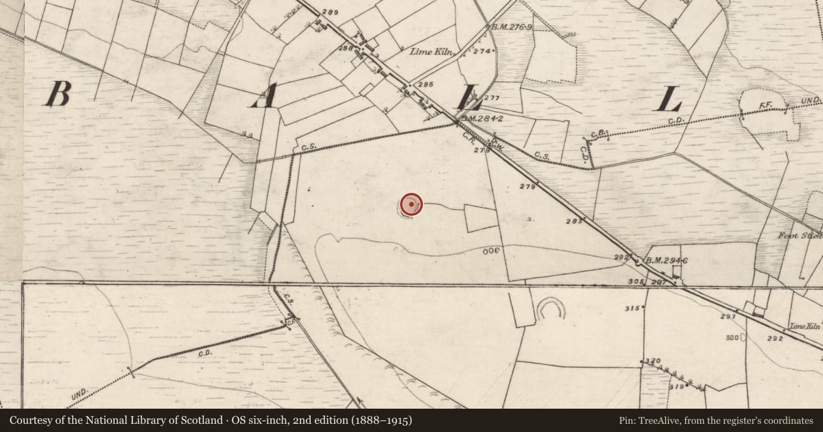 Ordnance Survey six-inch map, 2nd edition (1888–1915) covering the location of Ringfort - rath, Lisnageeragh, County Galway, with a pin at the register's coordinates