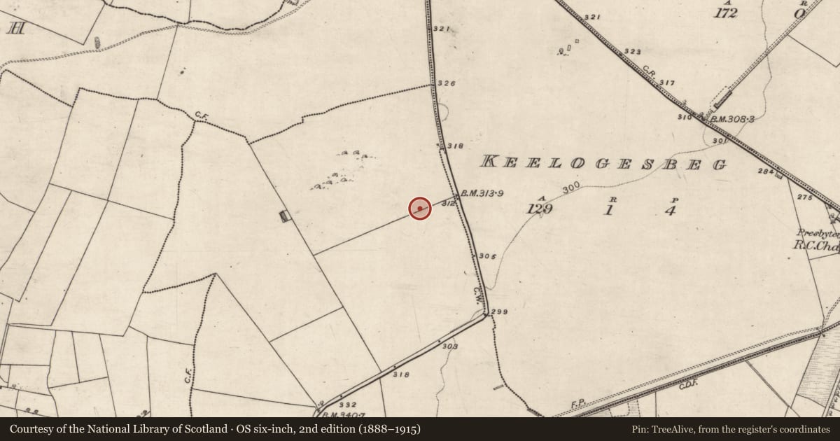 Ordnance Survey six-inch map, 2nd edition (1888–1915) covering the location of Enclosure, Newtown, County Galway, with a pin at the register's coordinates
