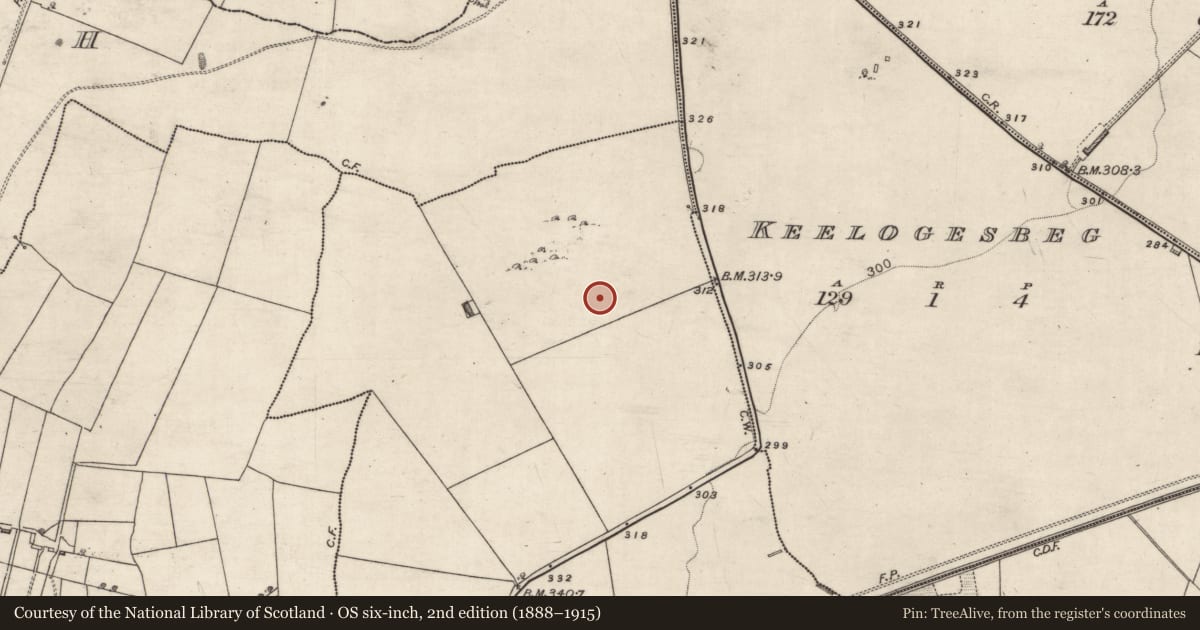 Ordnance Survey six-inch map, 2nd edition (1888–1915) covering the location of Ringfort - rath, Newtown, County Galway, with a pin at the register's coordinates