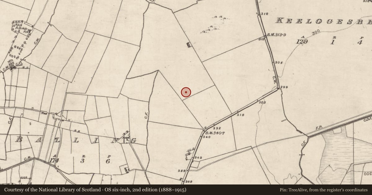 Ordnance Survey six-inch map, 2nd edition (1888–1915) covering the location of Ringfort - unclassified, Newtown, County Galway, with a pin at the register's coordinates