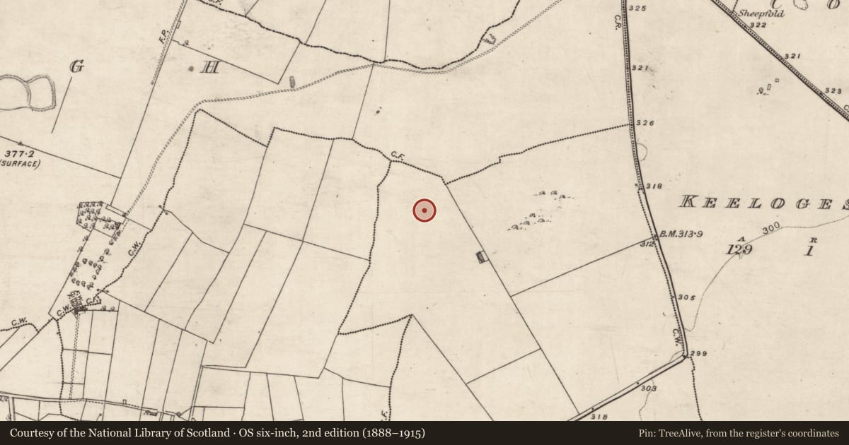 Ordnance Survey six-inch map, 2nd edition (1888–1915) covering the location of Burial, Newtown, County Galway, with a pin at the register's coordinates