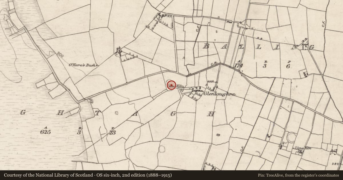 Ordnance Survey six-inch map, 2nd edition (1888–1915) covering the location of Ringfort - rath, Oughtagh, County Galway, with a pin at the register's coordinates