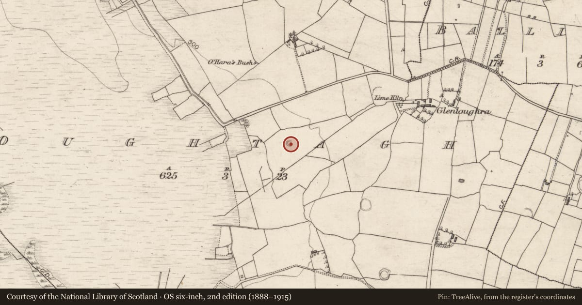 Ordnance Survey six-inch map, 2nd edition (1888–1915) covering the location of Quarry, Oughtagh, County Galway, with a pin at the register's coordinates