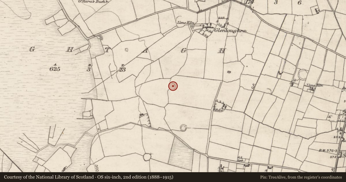 Ordnance Survey six-inch map, 2nd edition (1888–1915) covering the location of Ringfort - rath, Oughtagh, County Galway, with a pin at the register's coordinates