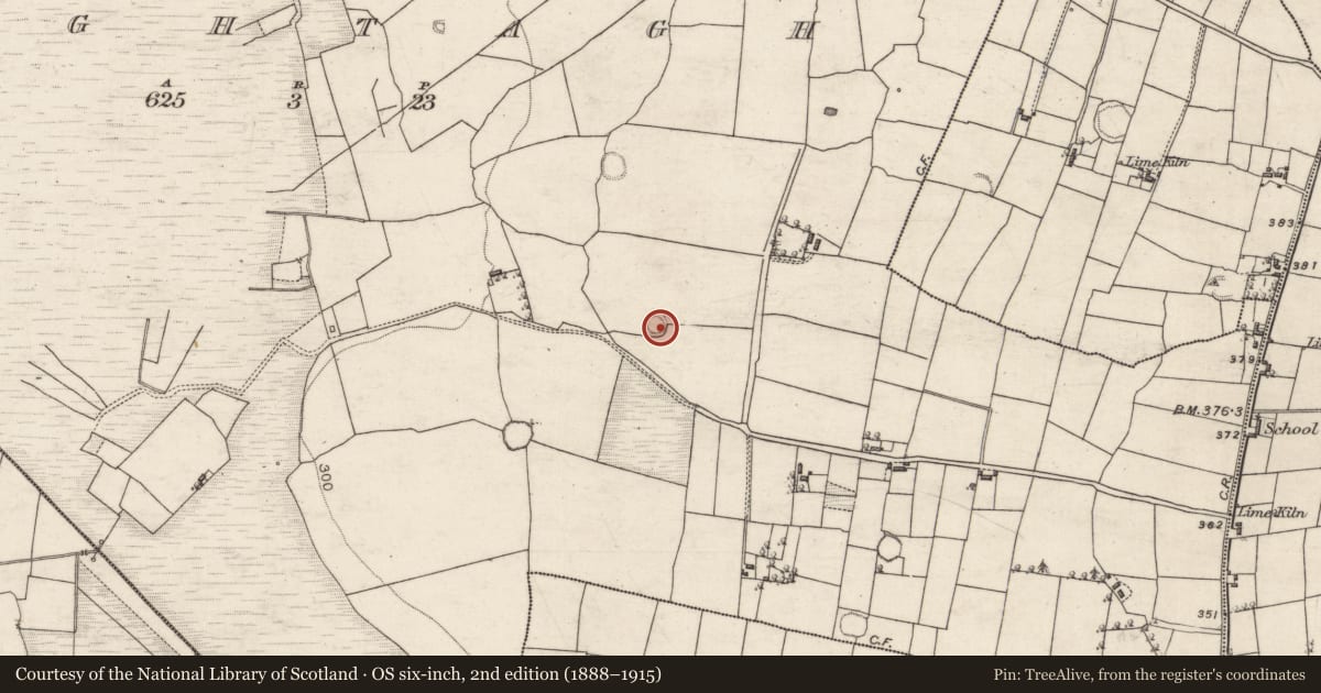 Ordnance Survey six-inch map, 2nd edition (1888–1915) covering the location of Ringfort - rath, Oughtagh, County Galway, with a pin at the register's coordinates