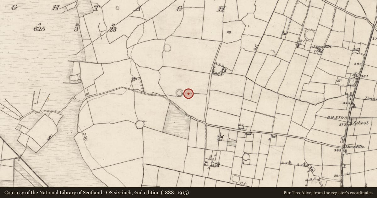 Ordnance Survey six-inch map, 2nd edition (1888–1915) covering the location of Ringfort - unclassified, Oughtagh, County Galway, with a pin at the register's coordinates