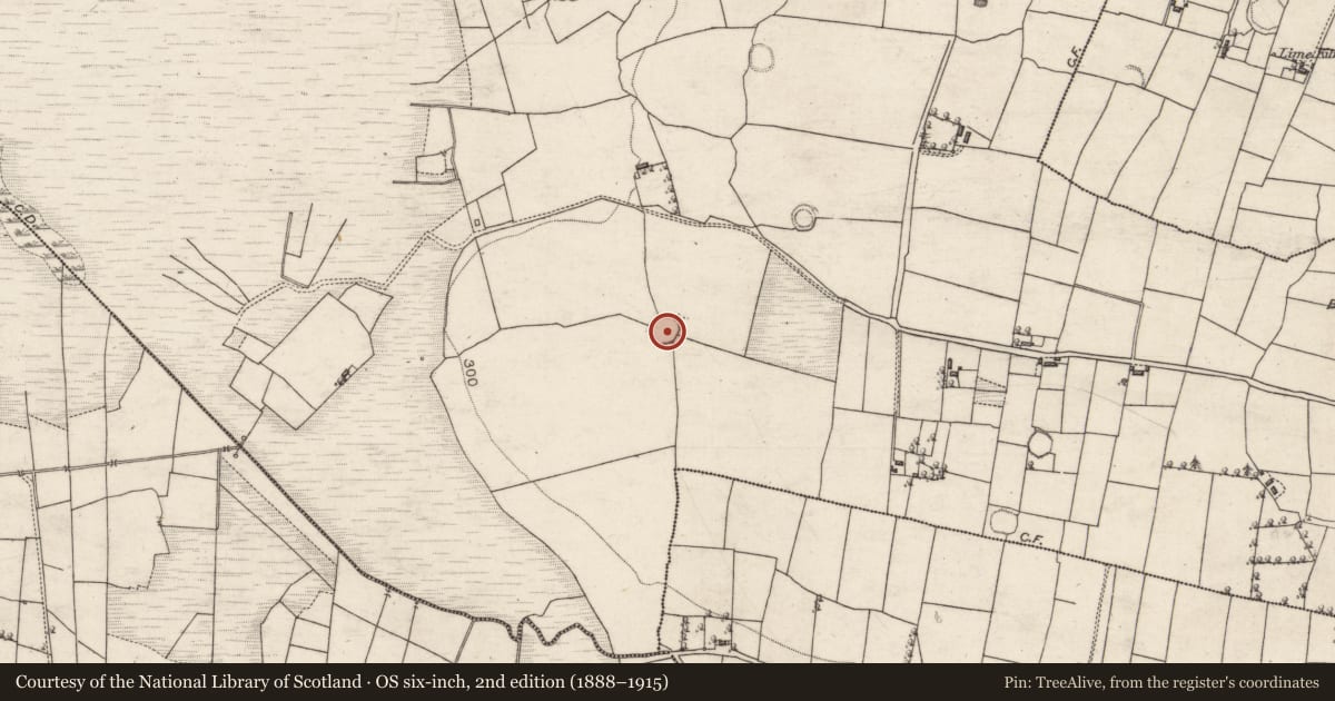 Ordnance Survey six-inch map, 2nd edition (1888–1915) covering the location of Ringfort - rath, Oughtagh, County Galway, with a pin at the register's coordinates