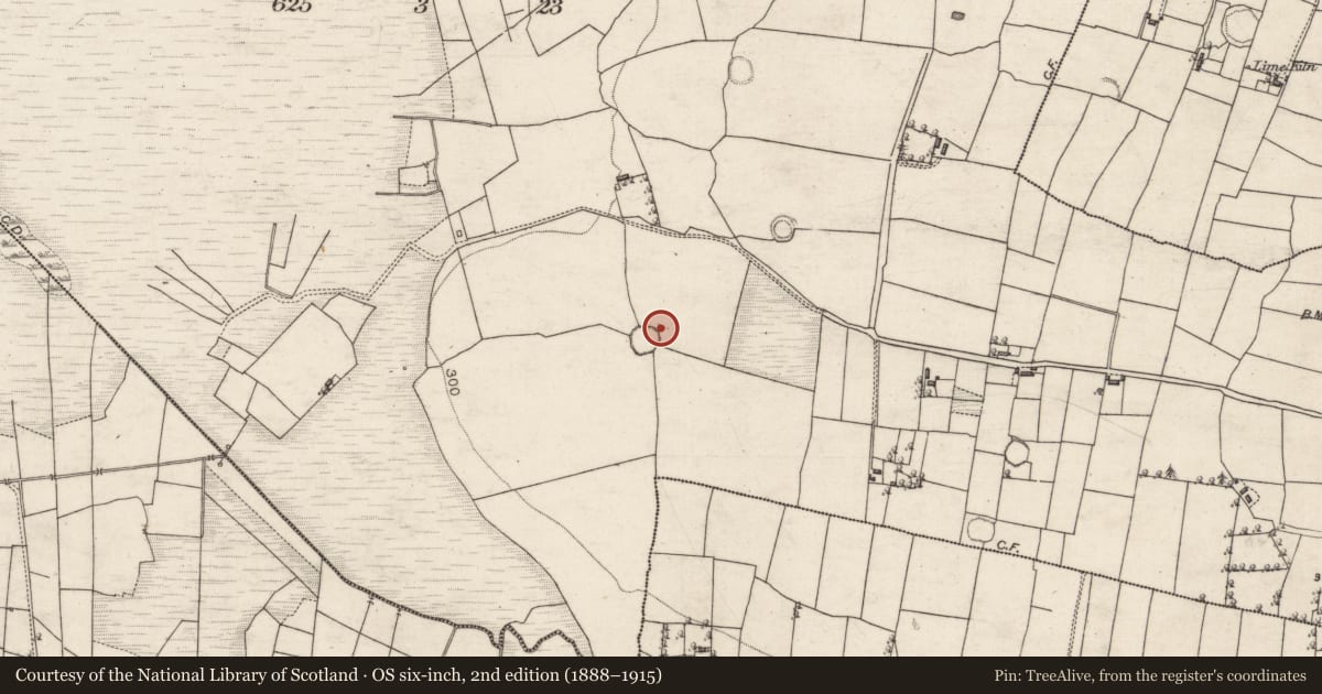 Ordnance Survey six-inch map, 2nd edition (1888–1915) covering the location of Standing stone, Oughtagh, County Galway, with a pin at the register's coordinates