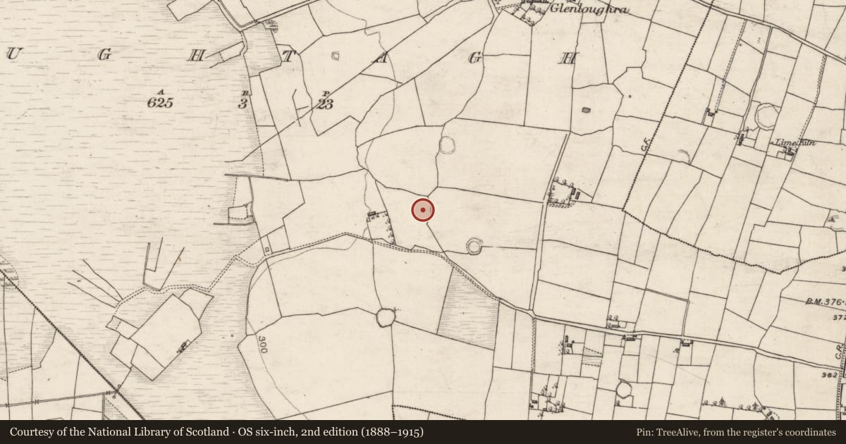 Ordnance Survey six-inch map, 2nd edition (1888–1915) covering the location of Enclosure, Oughtagh, County Galway, with a pin at the register's coordinates