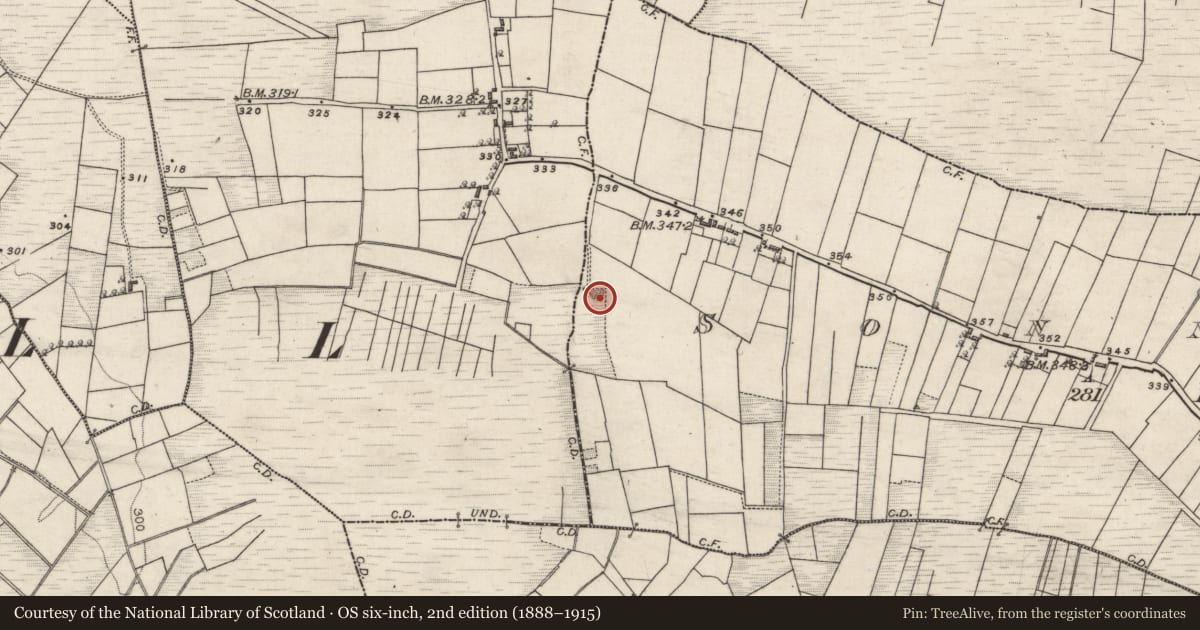 Ordnance Survey six-inch map, 2nd edition (1888–1915) covering the location of Quarry, Sonnagh, County Galway, with a pin at the register's coordinates