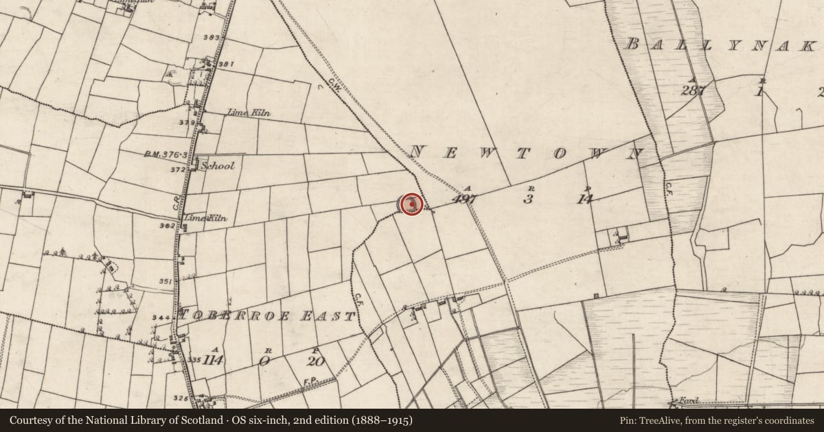 Ordnance Survey six-inch map, 2nd edition (1888–1915) covering the location of Ringfort - rath, Newtown, Toberroe East, County Galway, with a pin at the register's coordinates