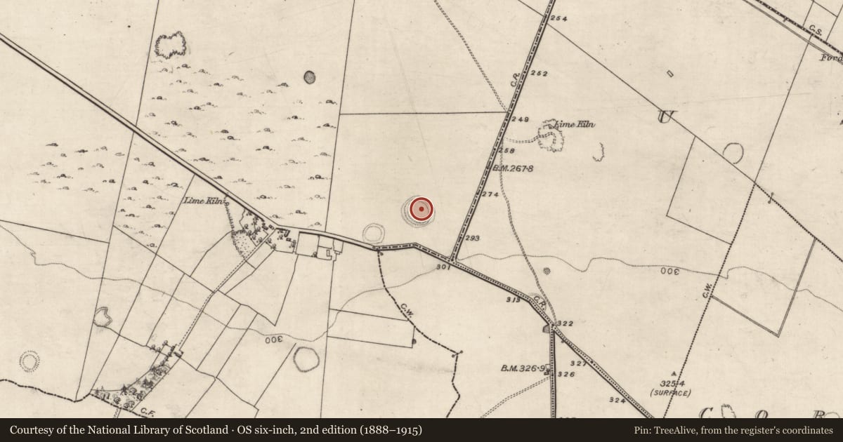 Ordnance Survey six-inch map, 2nd edition (1888–1915) covering the location of Souterrain, Turlough, County Galway, with a pin at the register's coordinates
