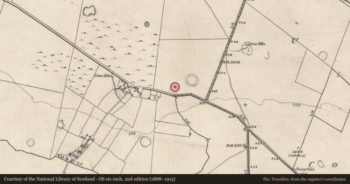 Ordnance Survey six-inch map, 2nd edition (1888–1915) covering the location of Enclosure, Turlough, County Galway, with a pin at the register's coordinates