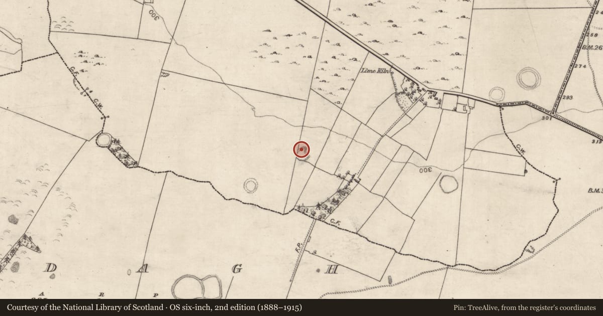 Ordnance Survey six-inch map, 2nd edition (1888–1915) covering the location of Ringfort - rath, Turlough, County Galway, with a pin at the register's coordinates