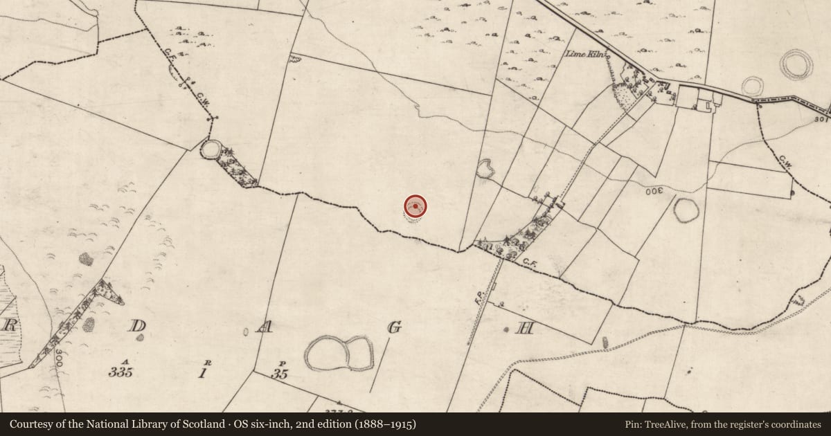 Ordnance Survey six-inch map, 2nd edition (1888–1915) covering the location of Ringfort - rath, Turlough, County Galway, with a pin at the register's coordinates